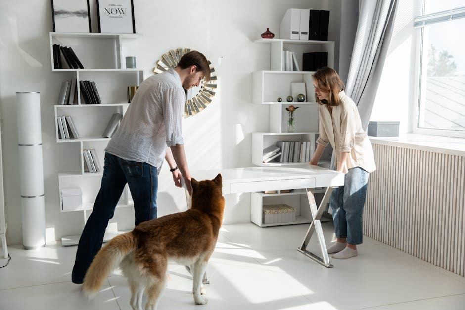 A couple adjusting a desk in a bright, modern living room with a dog observing.